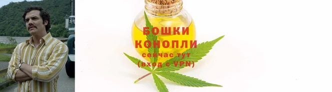 гидра Арсеньев