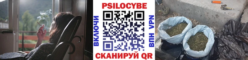 магазин  наркотиков  Приволжск  Псилоцибиновые грибы Cubensis 